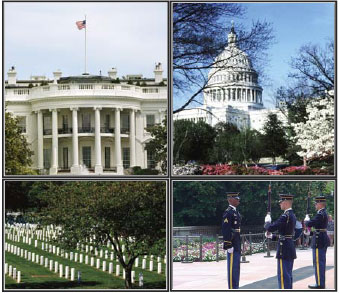 washington dc tours 